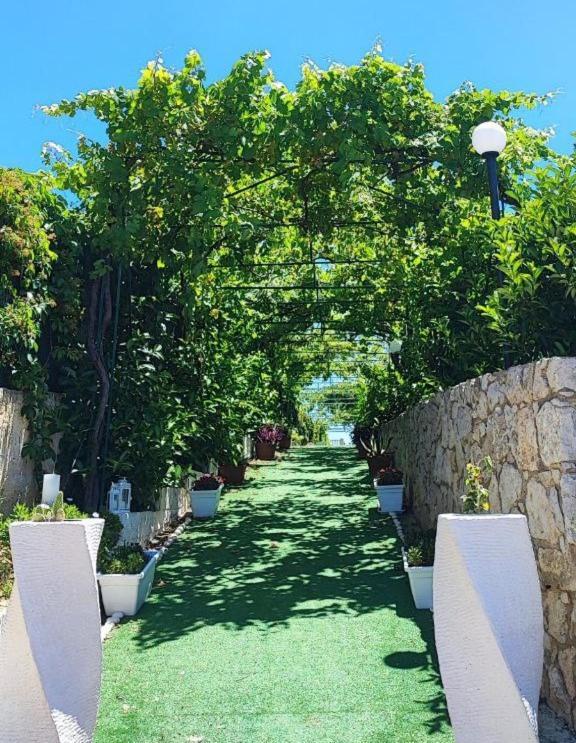 B&B Villa Antonella Piazza Armerina Eksteriør billede