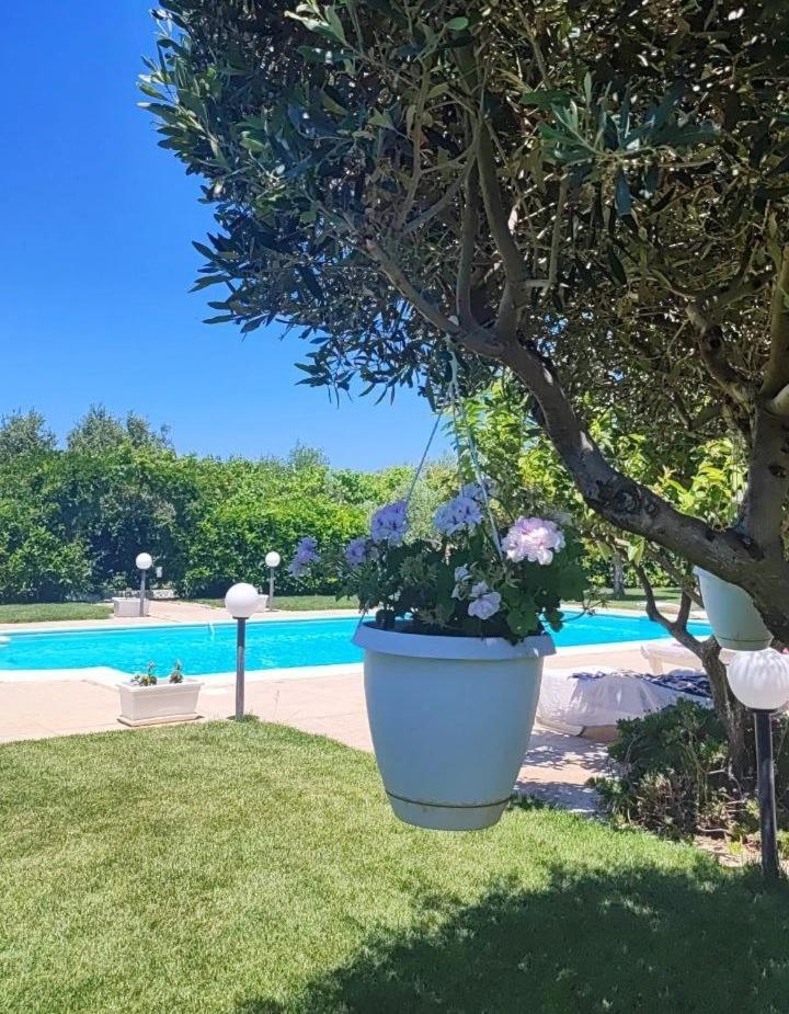 B&B Villa Antonella Piazza Armerina Eksteriør billede