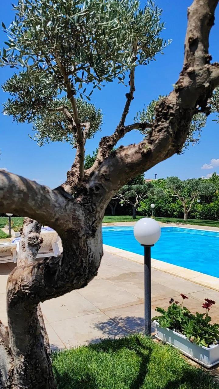 B&B Villa Antonella Piazza Armerina Eksteriør billede